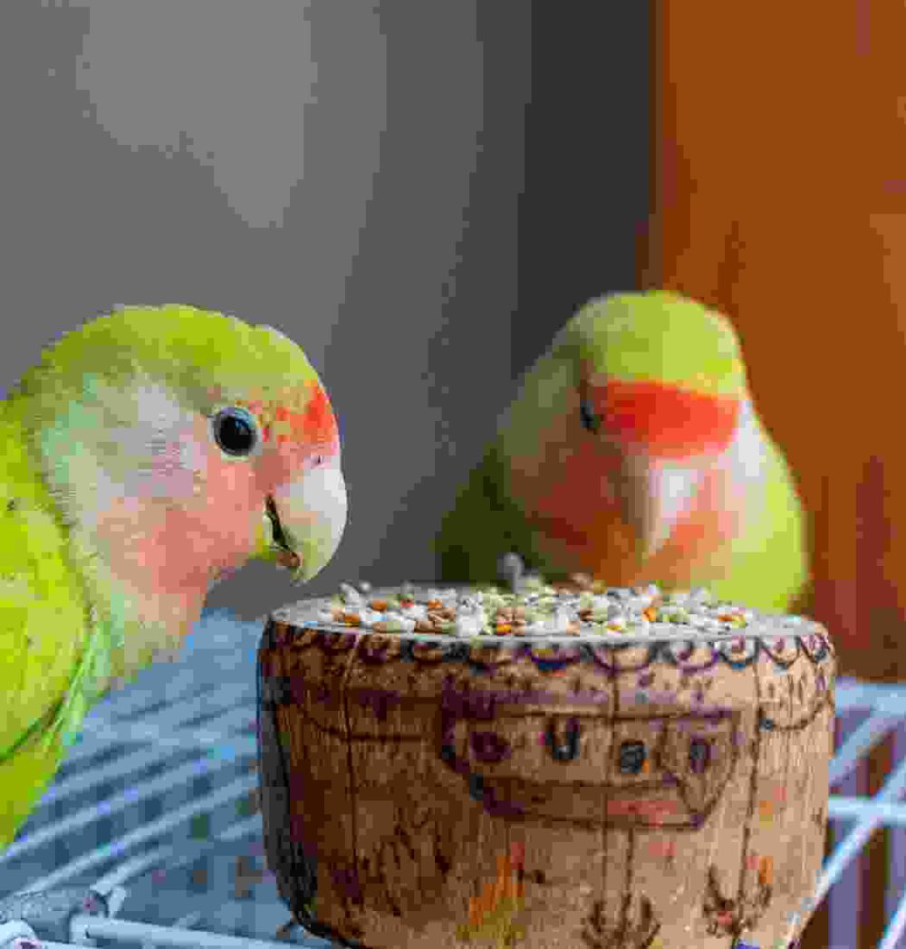 Shop Secondary Image