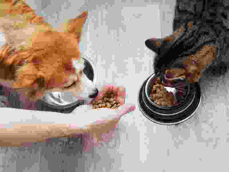 service-details-img-01